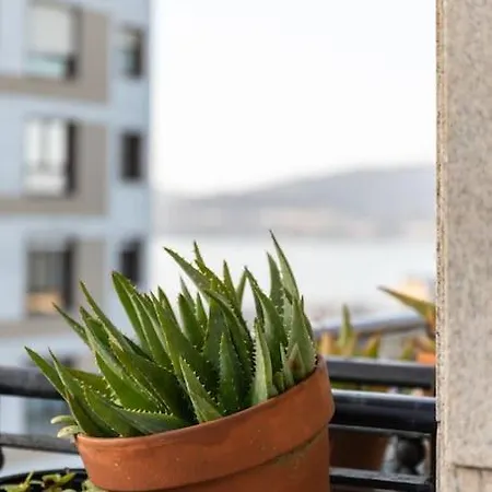 Bonito Piso Con Vistas, Centrico, Acogedor Vigo