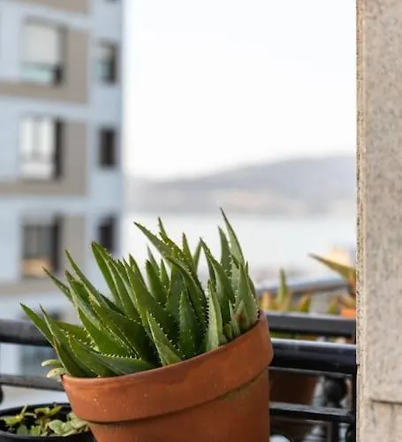 Bonito Piso Con Vistas, Centrico, Acogedor فيجو